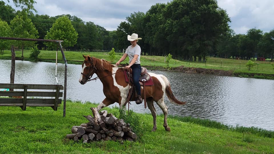 Golf Course Turned Rehabilitation Barn For Senior Horses